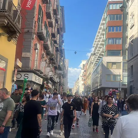 Daire New Generation Toledo